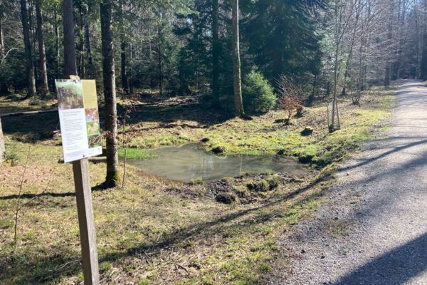 Zum Vater des Wanderns auf dem Pfannenstiel