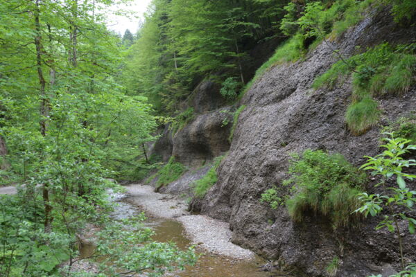 Zürcher Oberland: Tössscheidi