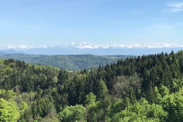 Aussichtstürme: Irchel