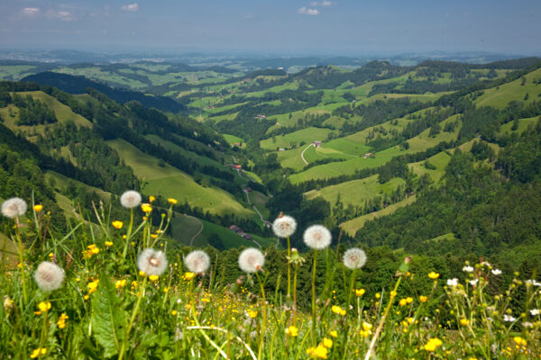 Zürcher Oberland: Schnebelhorn