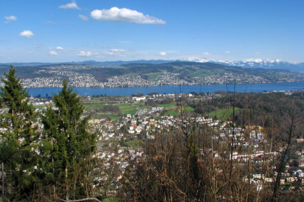 Pfannenstiel