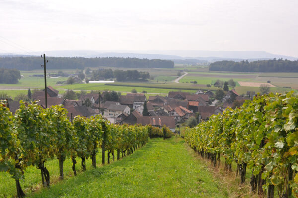 Rudolfingen