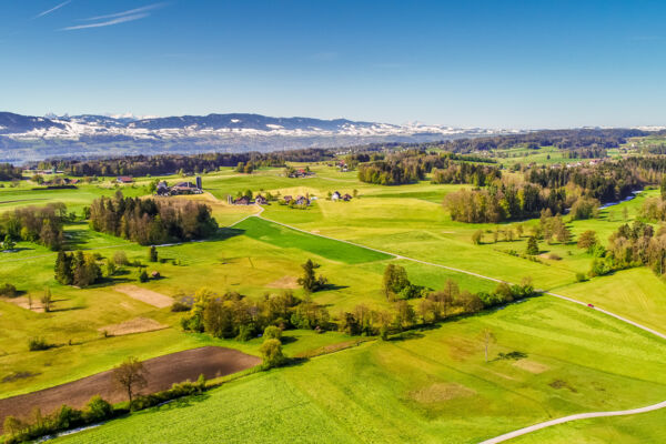 Zürcher Oberland: Drumlinlandschaft