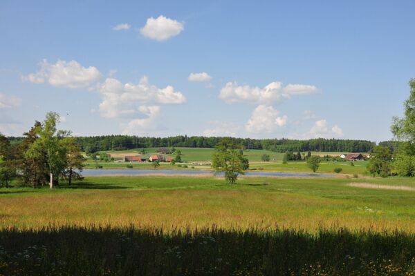 Wanderbänkli Oberhasli (**/T1)