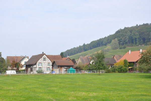 Rudolfingen