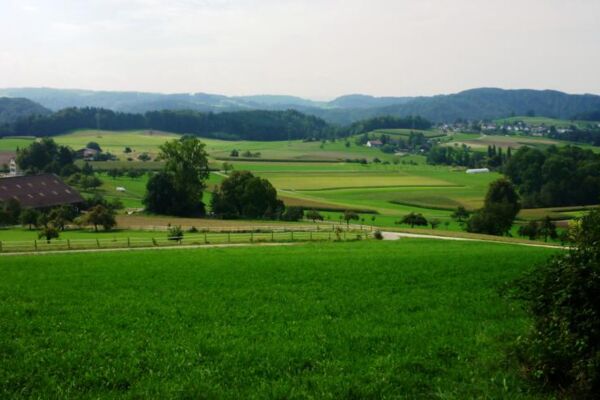 Rundweg Winterthur 5. Etappe Hulmen