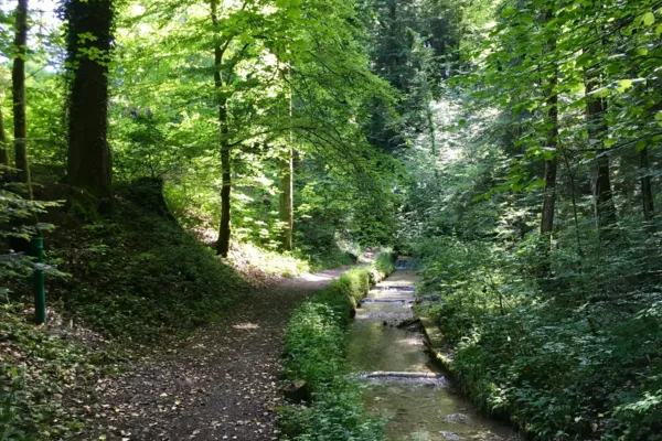 Tobel: Hutziker Tobel
