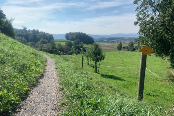 Rundweg Winterthur 4. Etappe Mörsburg