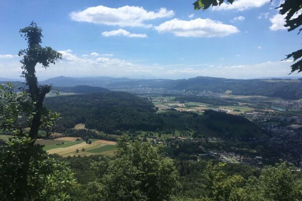 Von Niederweningen auf die Hochwacht