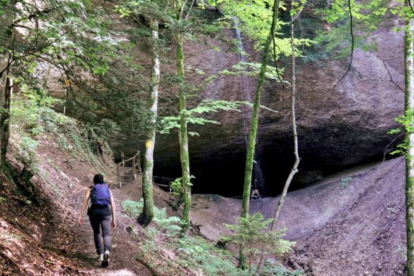 Wandertrophy 2026: Von Hinwil durchs Wildbachtobel via Täuferhöhle