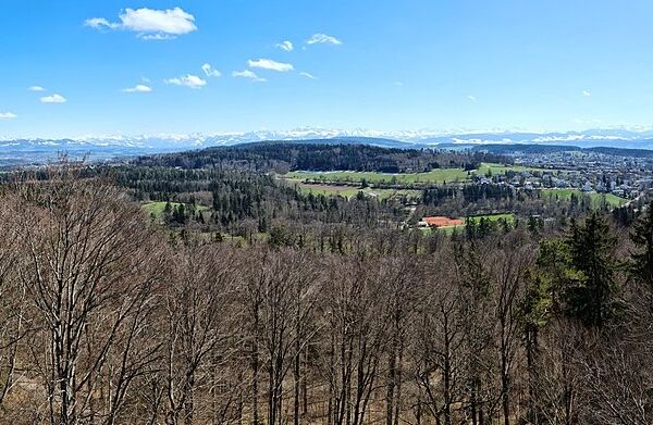 Aussichtstürme: Loorenchopf