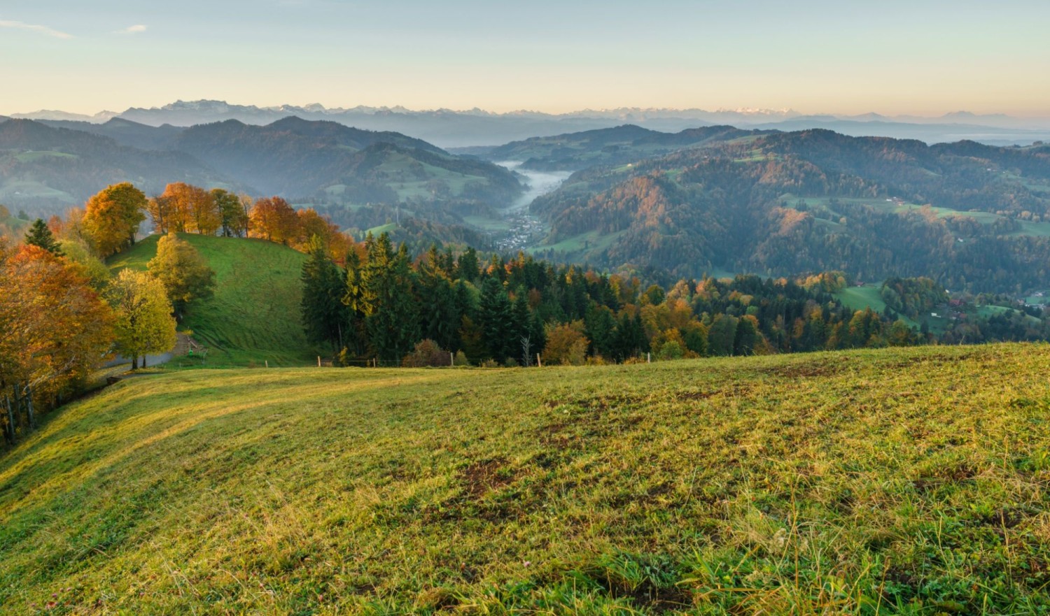 Zürcher Oberland: Hörnli