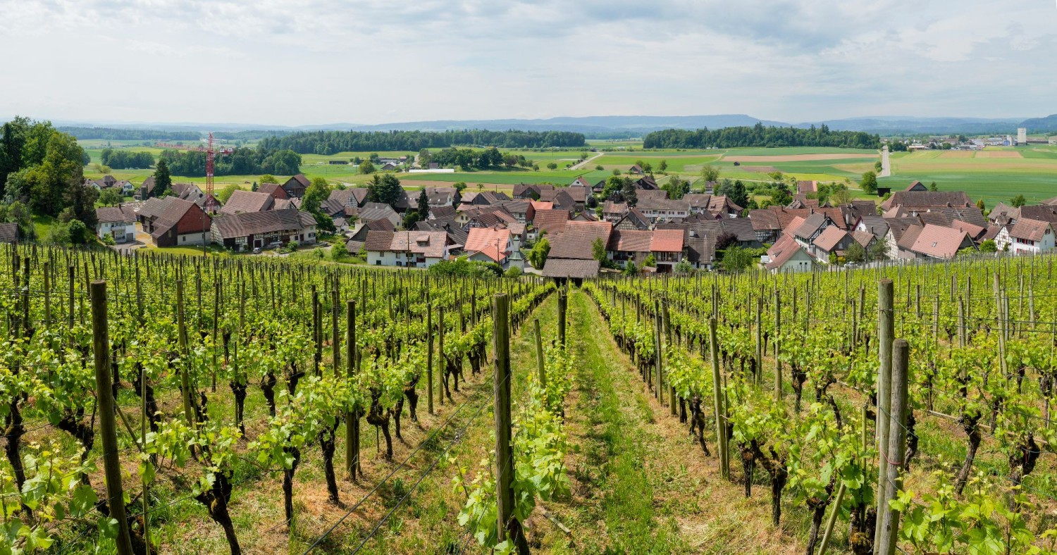 TOP 10: REBBERGE UND RIEGELBAUTEN