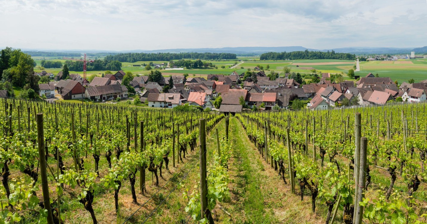 C Staffelbach Rheinfall Ossingen _1000287-Pano-Bearbeitet