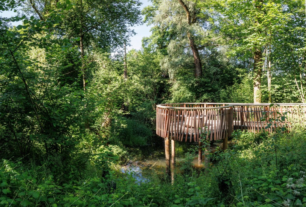 Knopfschlinge am Greifensee-