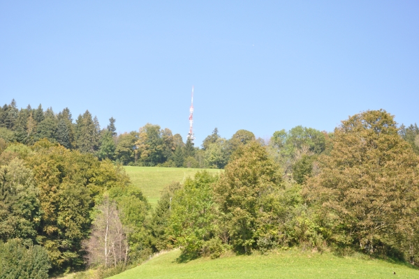 Zürcher Oberland: Bachtel
