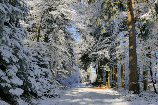 Weihnachten (**/T1) AUSGEBUCHT