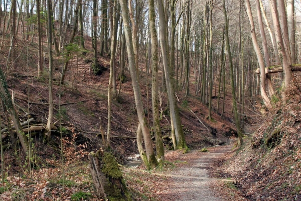 Wandertrophy 2025: Elefantenbach