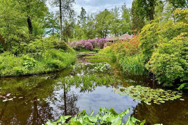 Zürich Albis und Knonauer Amt: Seleger Moor