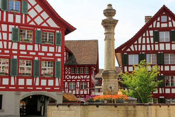 Wandertrophy 2026: Eschenmosen