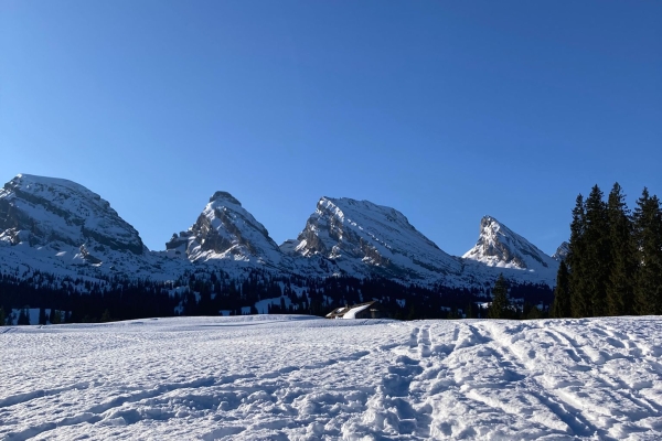 Schneeschuhwanderung