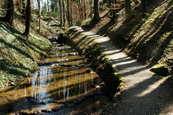 Wandertrophy 2026: Tobelmüli