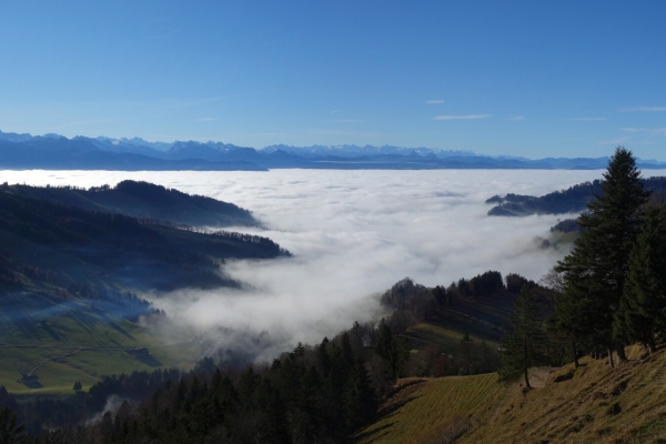 Eindrückliches Panorama (****/T2)