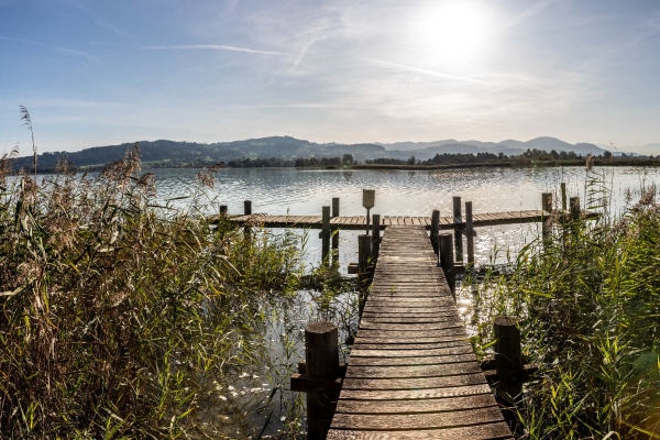 Themenwanderung Pfäffikersee (*/T1) MIT ANMELDUNG