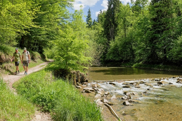 TOP 10: WÄLDER, WÖLFE UND EINE RITTERBURG