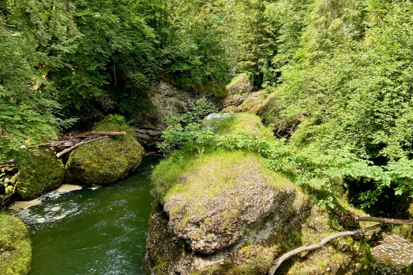 Wandertrophy 2025: Sihlsprung