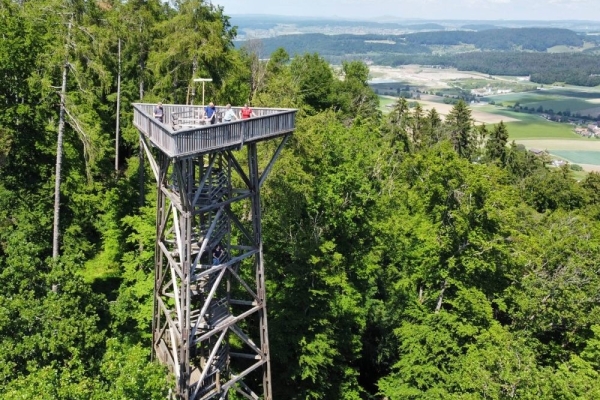 Wandertrophy 2026: Stadlerberg