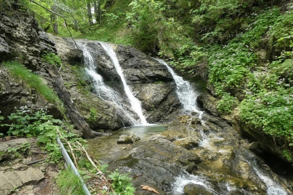 Wandertrophy 2026: Von Hinwil durchs Wildbachtobel via Täuferhöhle