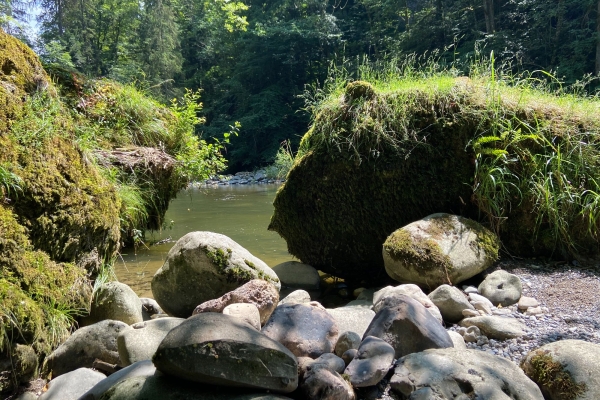 Am Wasser: Sihl