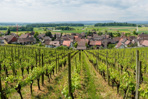 TOP10: REBBERGE UND RIEGELBAUTEN