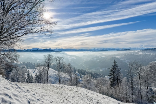 TOP 10: EIN HÖRNLI FÜR DAS GANZE JAHR