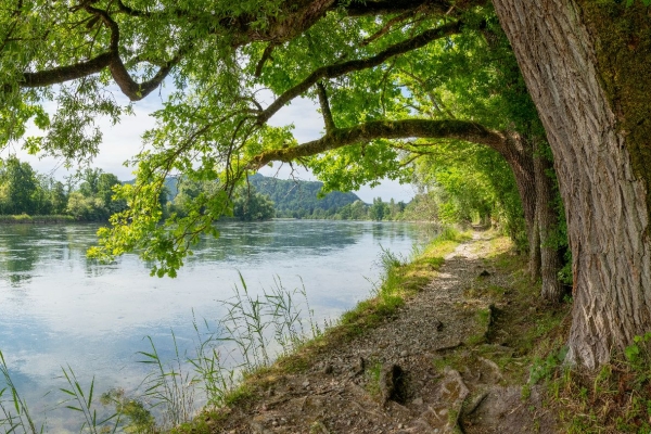 TOP 10: NATURPARADIES THURAUEN
