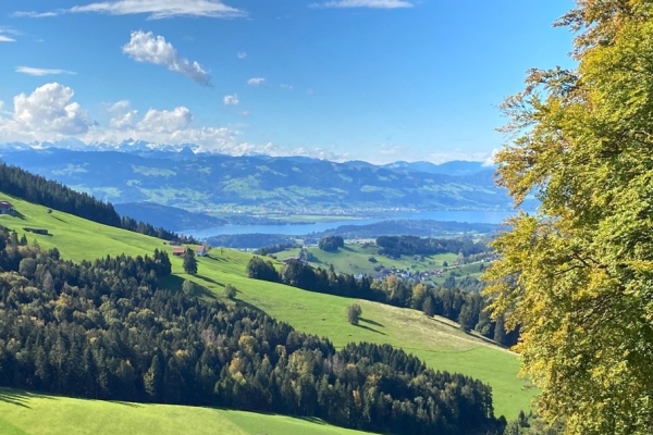 Eindrückliches Panorama (****/T2)