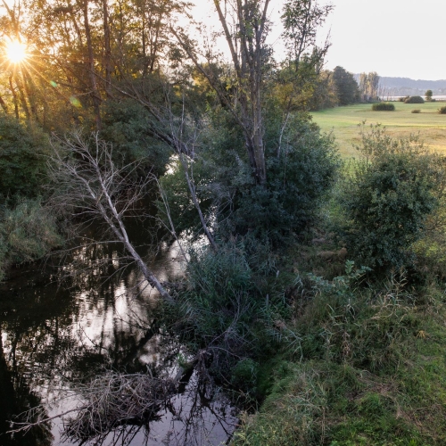 Ried Greifensee-158
