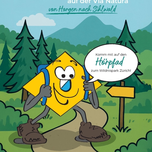 Hörfpad A zum Wildnispark