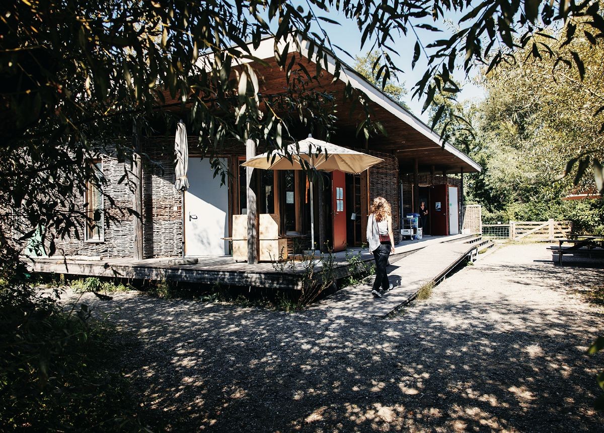 Naturstation Silberweide