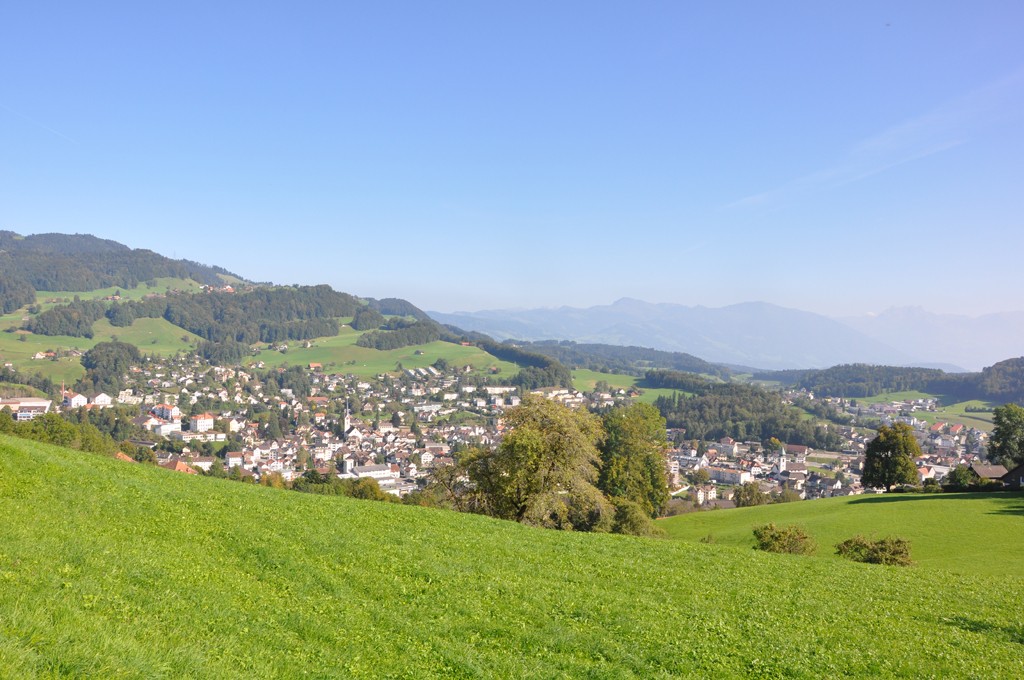 Blick auf das Ziel Wald