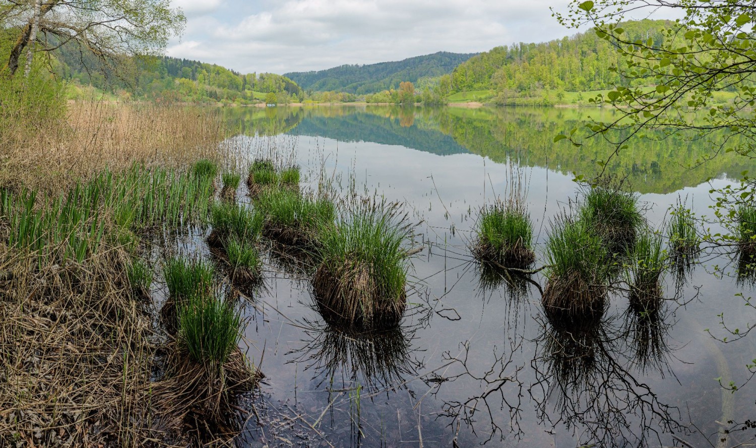 TOP 10: DIESER BERGSTURZ WAR GRÖSSER ALS DER IN GOLDAU