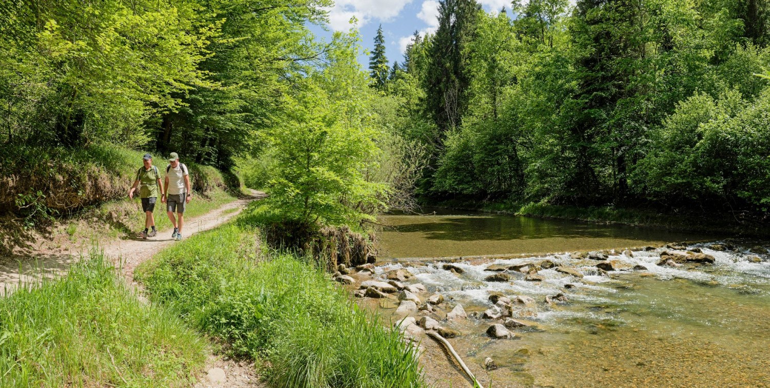 TOP 10: WÄLDER, WÖLFE UND EINE RITTERBURG