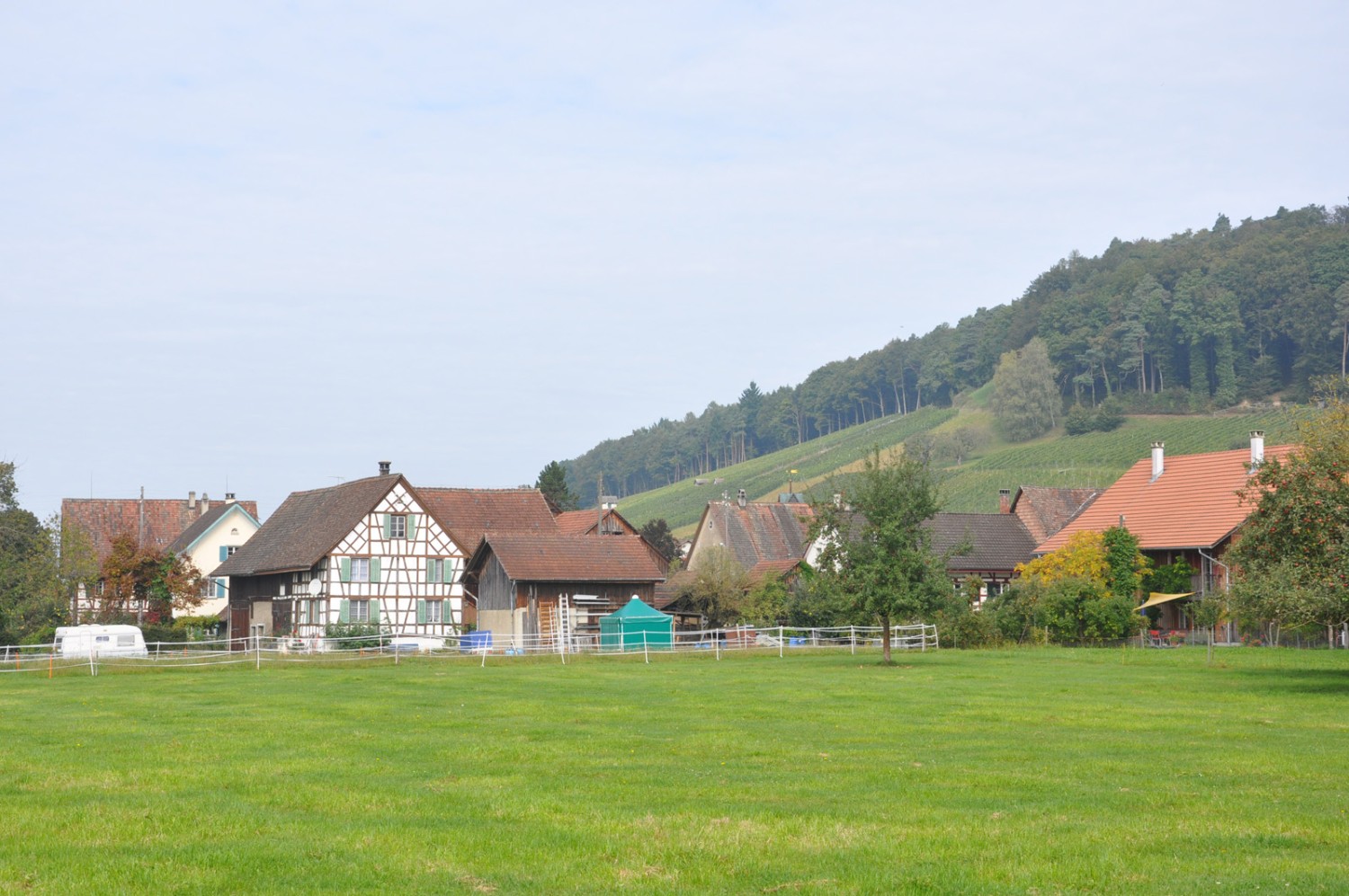 Rudolfingen