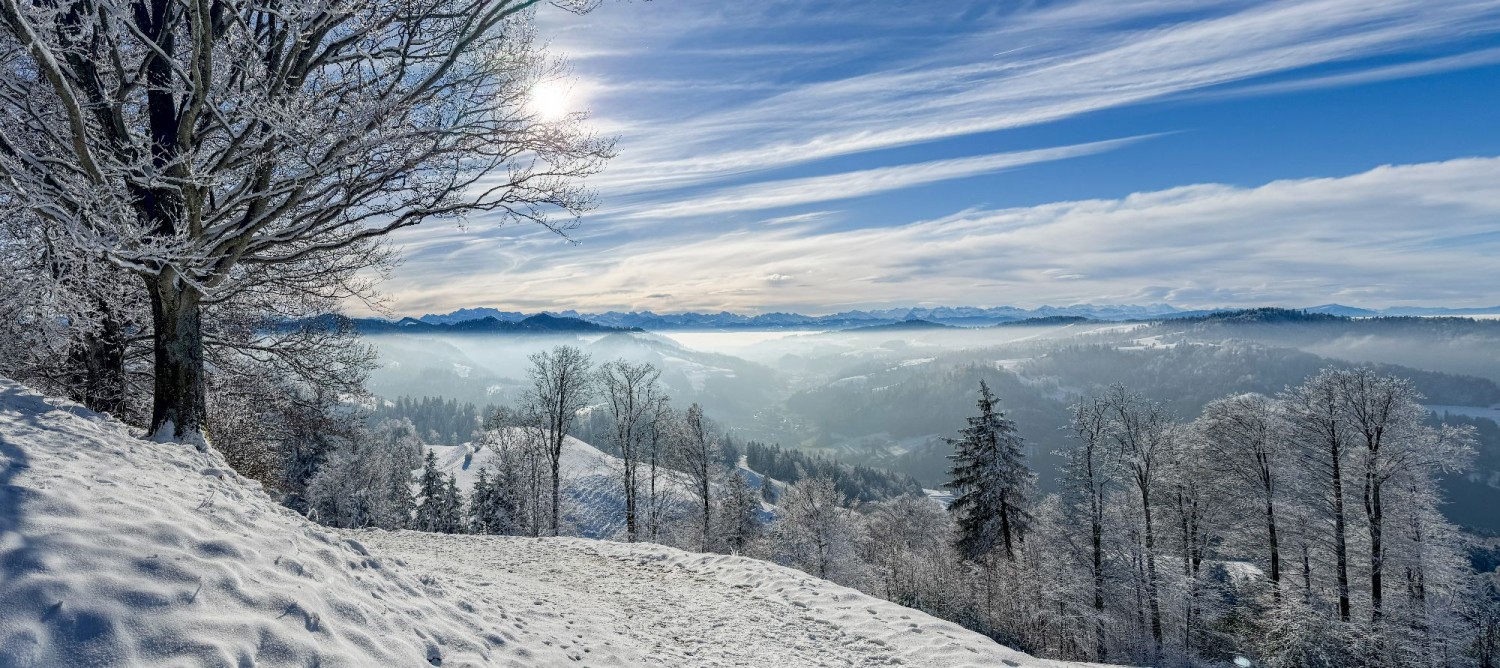 TOP 10: EIN HÖRNLI FÜR DAS GANZE JAHR