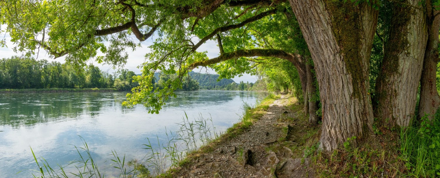 TOP 10: NATURPARADIES THURAUEN